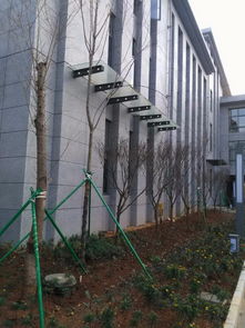 昆明雨棚钢梁加工与定做 建筑雨棚搭建的专业指南